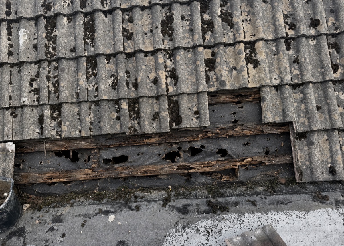 Completed roofing work by AS Property Maintenance, photograph 22